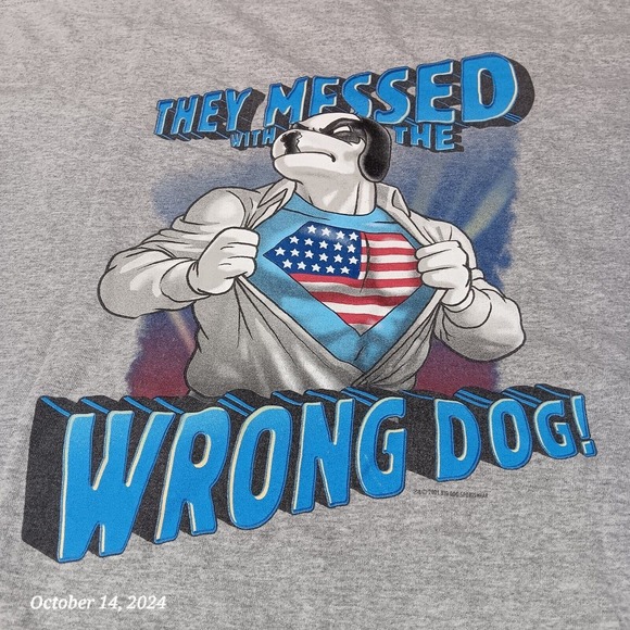 Big Dogs Other - Vintage‎ Big Dog Shirt Men 4X Gray Y2K They Messed With the Wrong Dog